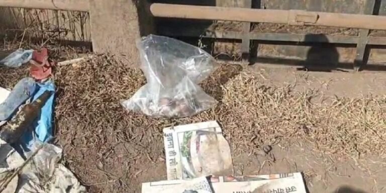 कोरबा में नहर से मिला एक साल के बच्चे का शव, इलाके में हड़कंप