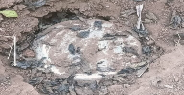 Bijapur News: सुरक्षाबलों की सतर्कता से दो IED बरामद, मौके पर ही किया गया नष्ट सुरक्षाबलों