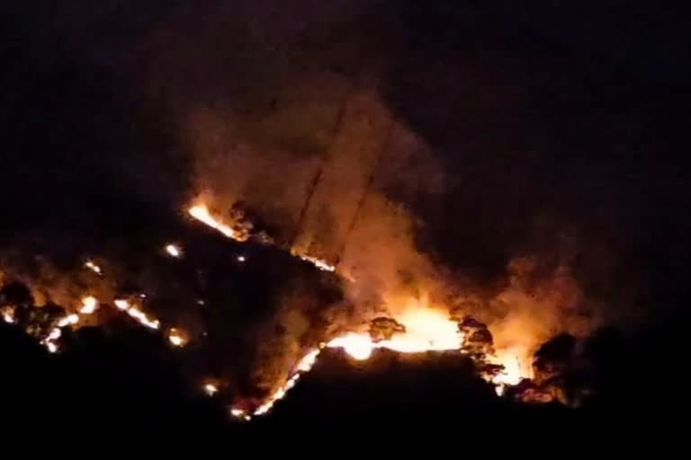 “आग की लपटों में बुढ़ादेव पहाड़ी: घंटों बाद भी नहीं पहुँचा दमकल अमला, प्रशासन की सुस्ती पर भड़के शहरवासी”