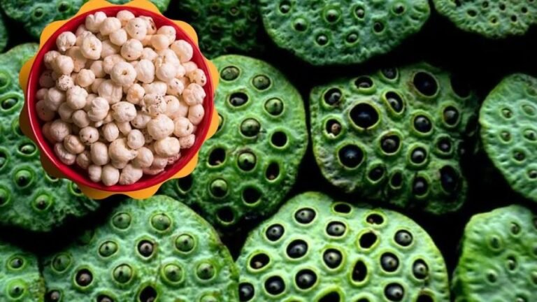 धमतरी को मखाना हब बनाने की दिशा में पहल – वनांचल क्षेत्र में आय के नए स्रोत- मखाना खेती से सशक्त होंगे महिला समूह