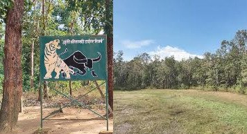 टाइगर रिजर्व में ‘खतरनाक खेल’: बाघों के आशियाने पर ‘बुल्डोजर’,- टाइगर रिजर्व की जमीन पर कब्जा करने की साजिश नाकाम ‘जंगल माफिया’ गिरफ्तार