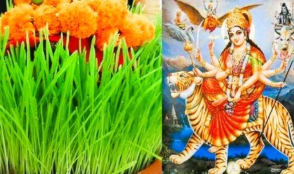 कलश, जौ और अक्षत: नवरात्रि पूजा के इन तीन स्तंभों में छिपा है सुख-समृद्धि का रहस्य