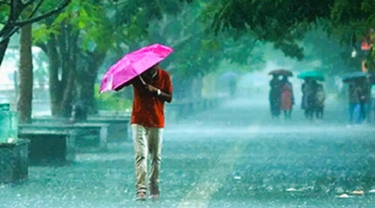 दो चक्रवातों के घेरे में छत्तीसगढ़: राजधानी रायपुर समेत कई जिलों में आज छाएंगे बादल, ओले गिरने और तेज हवाओं के साथ बारिश की संभावना, अगले 5 दिनों तक जारी रहेगा कुदरत का उतार-चढ़ाव