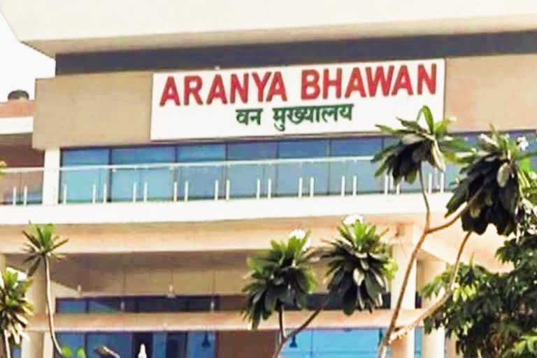 छत्तीसगढ़ वन विभाग में बड़ा फेरबदल: 60 से अधिक सहायक वन संरक्षकों की नई पदस्थापना सूची जारी