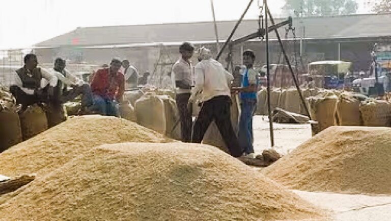 छत्तीसगढ़ में धान खरीदी की बड़ी तैयारी: 3,100 केंद्रों पर 15 नवंबर से होगी शुरुआत, 360 नए उपार्जन केंद्र जुड़े
